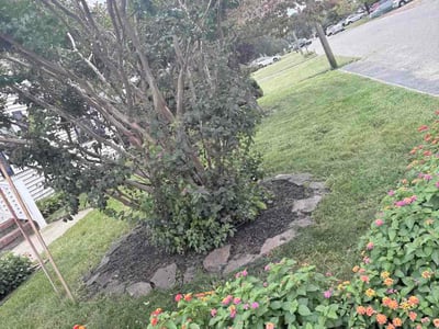 Lawn Care service in Jersey City, 07302
