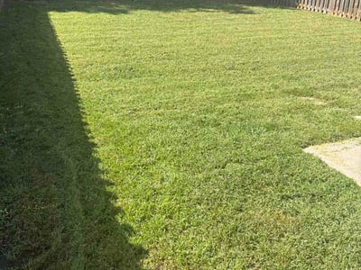 Lawn Care service in Hillsborough, 27278