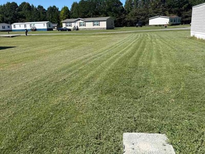 Lawn Care service in Goldsboro, 27530