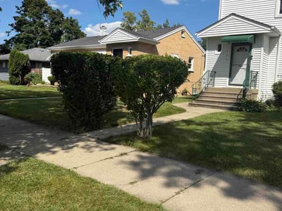 Lawn Care service in Oak Forest, 60452