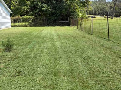 Lawn Care service in LaFayette, 30728