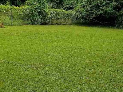 Lawn Care service in Macon, 31201