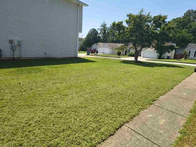 Lawn Care service in Macon, 31201