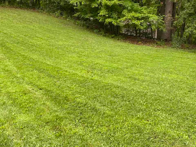 Lawn Care service in Victor, 14564