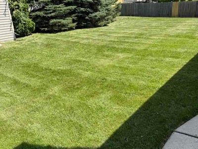 Lawn Care service in Carol Stream, 60188