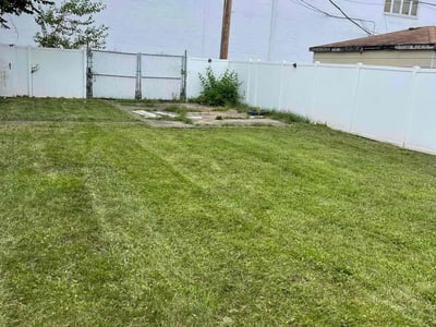 Lawn Care service in Carol Stream, 60188