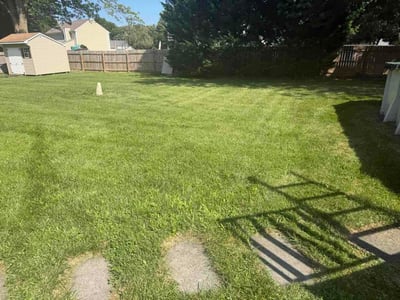 Lawn Care service in Paterson, 07505