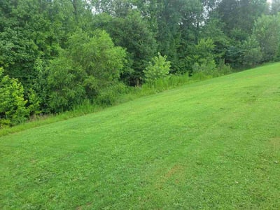 Lawn Care service in York, 29745