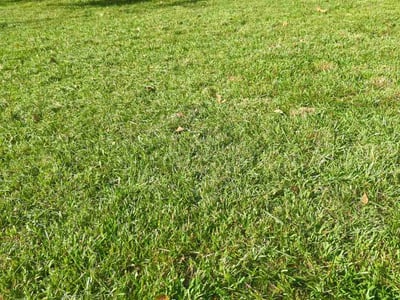 Lawn Care service in Waxhaw, 28173