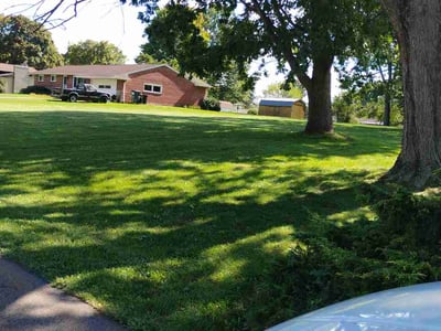 Lawn Care service in Canton, 44702