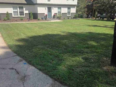 Lawn Care service in Clover, 29710