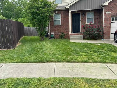 Lawn Care service in Rogersville, 37857