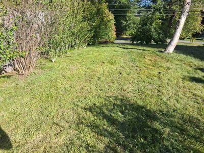 Lawn Care service in Kingston, 12401