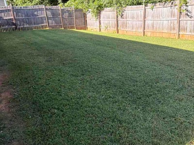 Lawn Care service in Jamestown, 27282