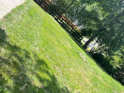 Lawn Care service in East Elmhurst, 11369