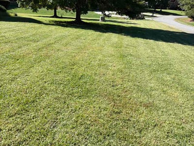 Lawn Care service in Mooresville, 28115