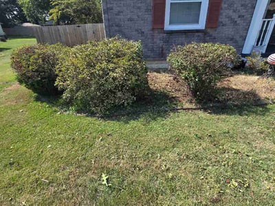 Lawn Care service in Mount Holly, 08060