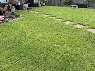 Lawn Care service in Johnson City, 37604