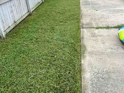 Lawn Care service in Waynesville, 28786