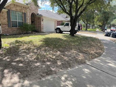Leaf Removal service in Cypress, 77429