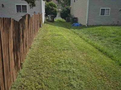 Lawn Care service in Denver, 28037