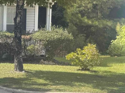 Lawn Care service in Apex, 27502