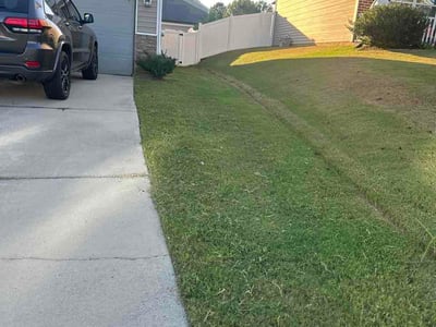 Lawn Care service in Davidson, 28036