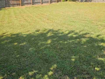 Lawn Care service in Killeen, 76541