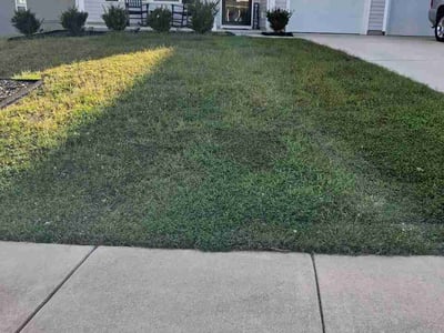 Lawn Care service in Kannapolis, 28083
