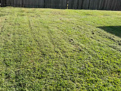 Lawn Care service in Killeen, 76541
