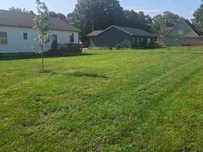 Lawn Care service in Lexington, 02420