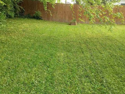 Lawn Care service in Lexington, 02420