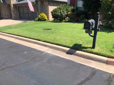 Lawn Care service in Brooklyn, 11216