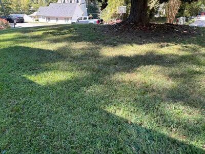 Lawn Care service in Bellingham, 02019