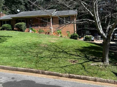 Lawn Care service in Bellingham, 02019