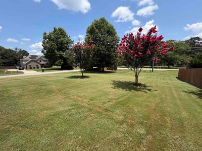 Lawn Care service in Wayland, 01778