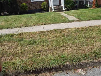 Lawn Care service in Hagerstown, 21740