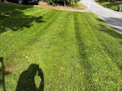 Lawn Care service in Weaverville, 28787