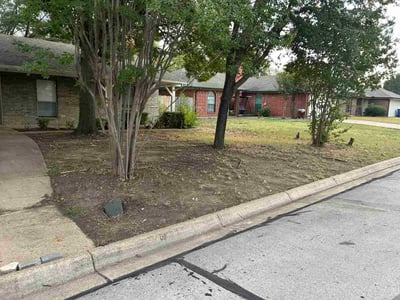Leaf Removal service in Azle, 76020