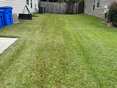 Lawn Care service in Clyde, 28721