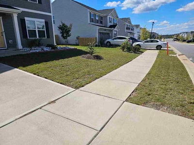 Lawn Care service in Clyde, 28721
