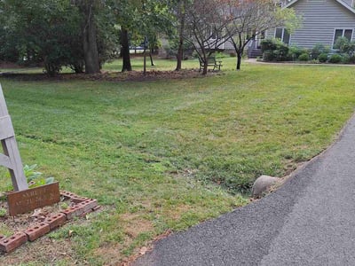 Lawn Care service in Dedham, 02026