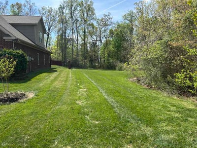 Lawn Care service in Mint Hill, 28227