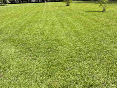 Lawn Care service in Darlington, 29532