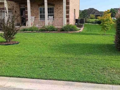 Lawn Care service in Darlington, 29532