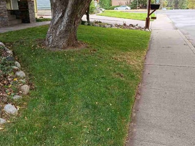 Lawn Care service in Spokane, 99201
