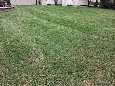 Lawn Care service in Edgewater, 21037