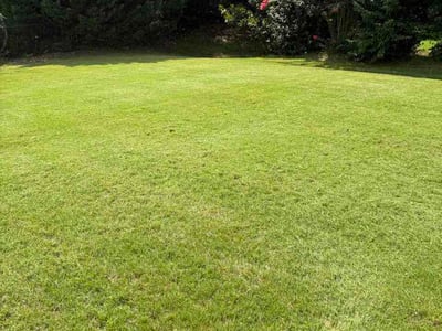 Lawn Care service in Rock Hill, 29730