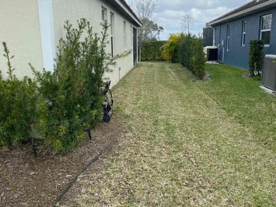 Lawn Care service in Acton, 01720