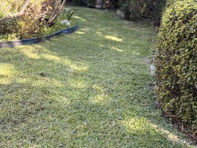 Lawn Care service in Fort Walton Beach, 32548